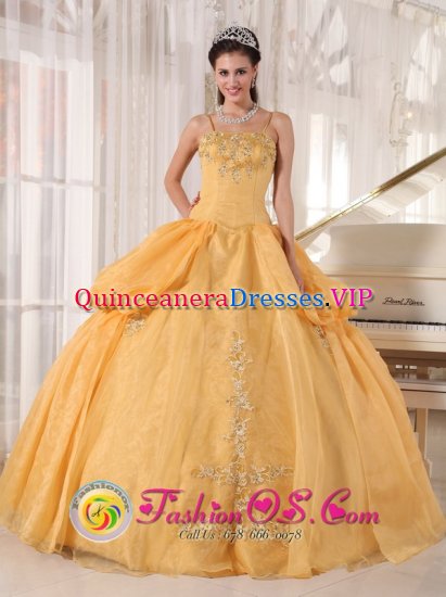 Rockledge FL Gorgeous Gold Appliques Spaghetti Straps Quinceanera Dress With Taffeta and Organza Ball Gown - Click Image to Close