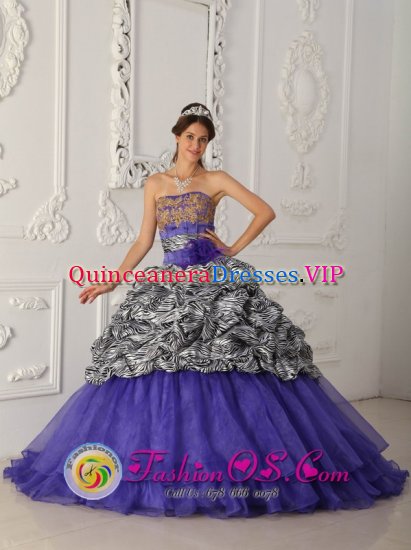 Brand New Custom Made Zebra and Organza Purple Quinceanera Dress For Strapless Chapel Train Ball Gown In Shepparton VIC - Click Image to Close