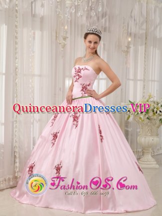 Elegant A-line Baby Pink Appliques Decorate Quinceanera Dress With Strapless Taffeta in Waynesville Carolina/NC