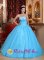 Trumbull Connecticut/CT Romantic Exquisite Appliques A-line Strapless Baby Blue Quinceanera Dress