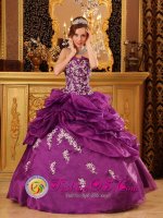 Formal Fuchsia Quinceanera Dress For Milford Delaware/ DE Strapless Organza With Beaded Lace Appliques Ball Gown