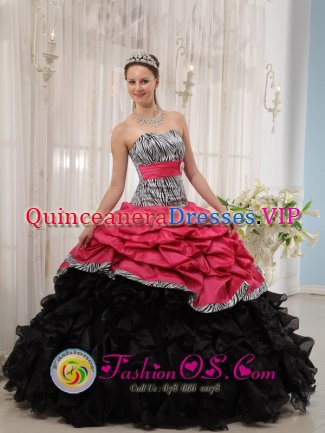 Arenys de Munt Spain Gorgeous Zebra and Taffeta and Organza Beading and Pick-ups Colorful Ball Gown For Quinceanera Dress