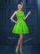 Flirting Tulle Zipper Scoop Sleeveless Knee Length Dama Dress for Quinceanera Lace and Ruffled Layers