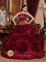 Appliques Burgundy Strapless Organza Drochtersen Popular Quinceanera Dresses