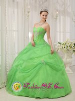 Korsholm Finland Quinceanera Dress For Quinceanera With Spring Green Sweetheart neckline Floor-length