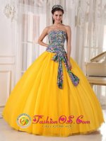 Plattsmouth Nebraska/NE Pretty Golden Yellow and Printing Quinceanera Dress For Strapless Bowknot Decorate Tulle Ball Gown(SKU PDZY713-ABIZ)