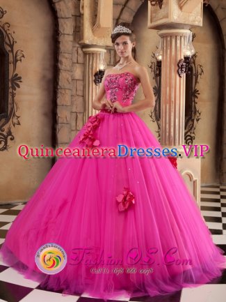 Luxurious Strapless Hot Pink Quinceanera Dress With Flowers And Appliques Decorate On Tulle In Durbanville South Africa