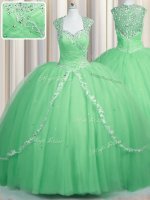 Edgy Zipper Apple Green Quince Ball Gowns Tulle Brush Train Cap Sleeves Beading and Appliques