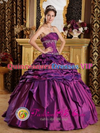 Denton Maryland/MD Pick-ups Simple Purple Quinceanera Dress In Houston Strapless Taffeta Beaded Appliques Ball Gown