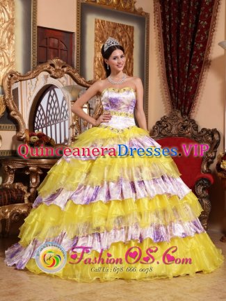 Chico Claremont California Sweetheart Beading and Ruffles Wholesale Multi-color Quinceanera Gowns Made In Organza