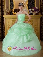 Apple Green Sweet 16 Quinseanera Dress With Strapless Beads And Ruffles Decorate On Organza In Gold Coast QLD(SKU QDZY208y-2BIZ)