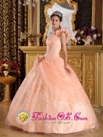 Biarritz France Fabulous One Shoulder Hand Made Flowers Sweet 16 Dress With Appliques and Pick-ups In South Carolina