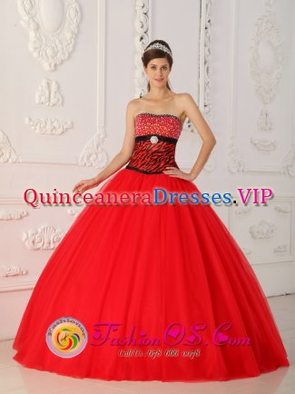 Eden Prairie Minnesota/MN A-line Quinceaners Dress With Beaded Decorate Bust Red and black Strapless