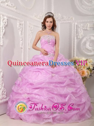 Ankeny Iowa/IA Exclusive lavender Quinceanera Dress Strapless Organza Appliques Layered Pick-ups Ball Gown