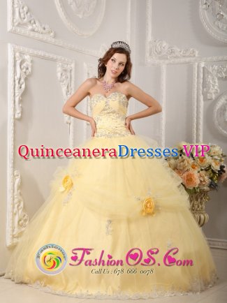 Wisbech Cambridgeshire Beautiful Organza Light Yellow Sweetheart Quinceanera Dress With Appliques and Hand Made Flowers