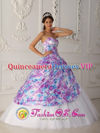 Lincoln Nebraska/NE Elegent A-line Printing and Tulle Vintage Multi-color Quinceanera Dress For Sweetheart Appliques