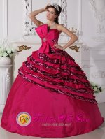 Crowthorne Berkshire Bowknot Beaded Decorate Zebra and Taffeta Hot Pink Ball Gown For