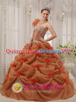 Discount One Shoulder Organza Appliques Decorate Up Bodice Rust Red Quinceanera Dress For Aachen Germany Hand Made Flower Decorate