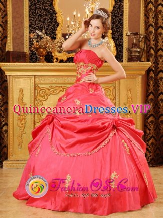 Farmington Minnesota/MN Stylish Strapless Watermelon Red Beading and Appliques Quinceanera Dress Party Style