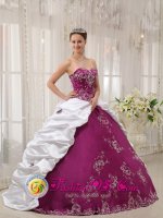 Embroidery Beautiful Bright Purple and White Sweet 16 Dress Sweetheart neckline with Satin and Taffeta Ball Gown In Bullhead City AZ　(SKU QDZY423y-1BIZ)