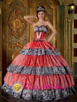 Belle Fourche South Dakota/SD Colorful Sweetheart Strapless With Zebra and Taffeta Ruffles Ball Gown For Quinceanera Dress