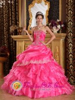 Winner South Dakota/SD Appliques Hot Pink For Beautiful Quinceanera Dress With Strapless Organza Lace Decorate(SKU QDZY068J9BIZ)