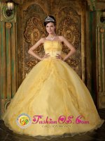 Flandreau South Dakota/SD Gorgeous Appliques Decorate Bodice Yellow Quinceanera Dress In New York Strapless Organza Ball Gown(SKU QDZY088J6BIZ)