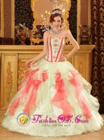 Groesbeck TX Perfect Multi-Color Quinceanera Dress With Sweetheart Neckline Organza Floor Length Ball Gown