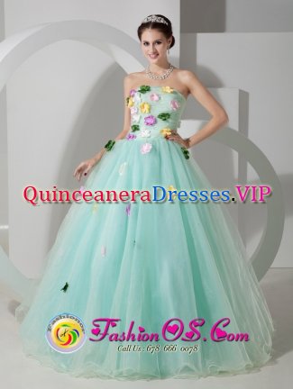 Frankfort Kentucky/KY Apple Green Sweet For Quinceanera Dress Organza Hand Made Flowers