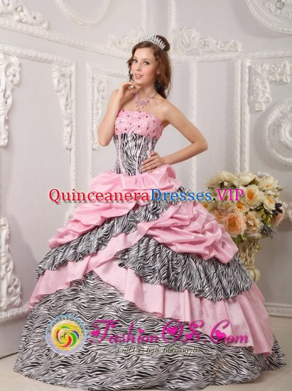 Romantic Pink Quinceanera Dress Taffeta and Zebra For Sweet 16 With Pick-ups Beading Ball Gown In Rosebank South Africa - Click Image to Close