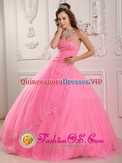 Fabulous Rose Pink For Classical Sweet 16 Quinceaners Dress Sweetheart and Appliques Ball Gown In Buffalo - Click Image to Close