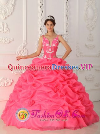 Fairbury Nebraska/NE Sexy Watermelon Quinceanera Dress With Appliques Decorate Straps And Bodice