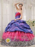 Yacuanquer colombia Colorful Exclusive Quinceanera Dress With purple Taffeta and pink Organza and Zebra Pick-ups