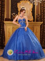 Dakota Dunes South Dakota/SD Affordable Blue Quinceanera Dress with Appliques For Sweetheart Organza Ball Gown(SKU QDZY086J8BIZ)