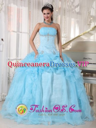 Duluth Georgia/GA Stylish Organza Baby Blue Ball Gown Pick-ups Sweet 16 Dresses With Beading and Ruched Bust Floor-length