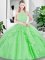 Scoop Sleeveless Zipper 15th Birthday Dress Tulle