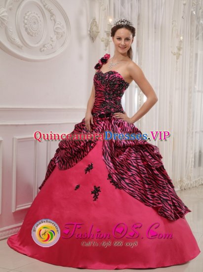 One Shoulder Hand Zebra Made Flowers Moca Dominican Republic Sweet 16 Dress Coral Red For Gaduation - Click Image to Close