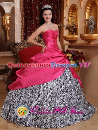 Taffeta and Zebra For Quinceanera Dress With Beading and Hand Made Flowers In Las Vegas