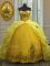 Sophisticated Pick Ups Sweetheart Sleeveless Court Train Lace Up Quinceanera Dress Light Yellow Organza