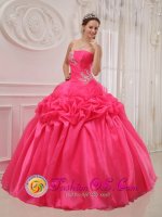 Moca Dominican Republic Ruched and Beading For Popular Hot Pink Quinceanera Dress With Taffeta and organza(SKU QDZY394y-2BIZ)