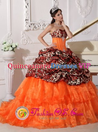 Elkins Park Pennsylvania/PA Sweetheart Neckline With Brush Leopard and Organza Appliques Decorate Quinceanera Dress