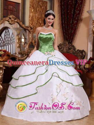 Warsaw Missouri/MO Spring Green and White For Stylish Quinceanera Dress Strapless Organza Embroidery