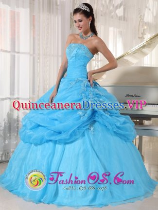 Independence Virginia/VA Lovely Baby Blue Strapless Organza Floor-length Ball Gown Appliques Quinceanera Dress with Pick-ups