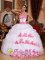 Gardiner Montana/MT Appliques Organza Wholesale Sweet Quinceanera Dress