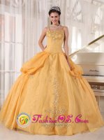 Gorgeous Gold Appliques Spaghetti Straps Bedford New hampshire/NH Quinceanera Dress With Taffeta and Organza Ball Gown