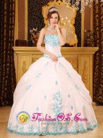 Chestnut Hill Massachusetts/MA Exquisite Appliques Over Skirt For Sweetheart Quinceaners Dress White Ball gown(SKU QDZY093J10BIZ)