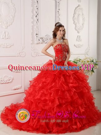 Ruffles and Embroidery Informal Red Bisho South Africa Quinceanera Dress Strapless Organza Brush Train Ball Gown