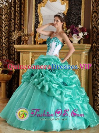 Alpine Texas/TX Sweetheart Discount Turquoise Quinceanera Dress In Quinceanera Party With Hand Made Flower