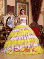 Verden Sweetheart Beading and Ruffles Wholesale Multi-color Quinceanera Gowns Made In Organza