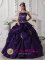 Wear The Super Hot Purple Exquisite Appliques Decorate Quinceanera Dress In Gladstone QLD Quinceanera